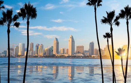 buildings-with-palm-trees