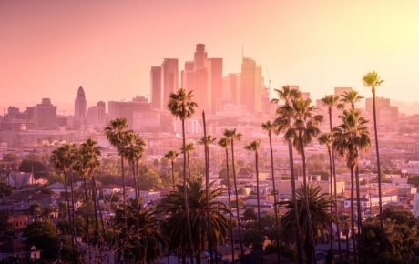 palm-trees-in-front-of-buildings