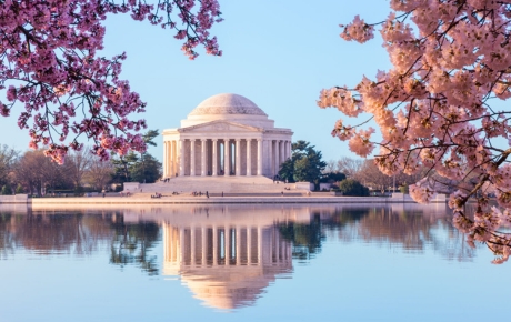 thomas-jefferson-memorial-with-flowers