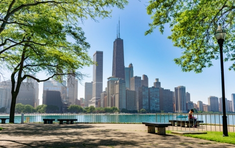 building-in-front-of-a-park