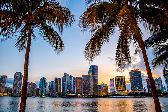 Luxury night in Miami