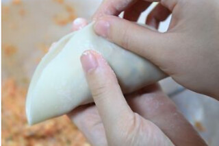 Asian Dumplings: A Culinary Adventure for 1