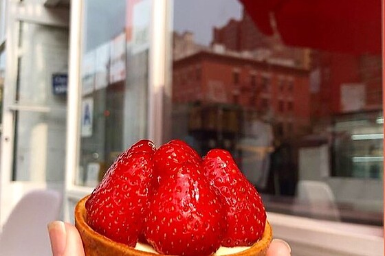 Afternoon at Barachou NYC