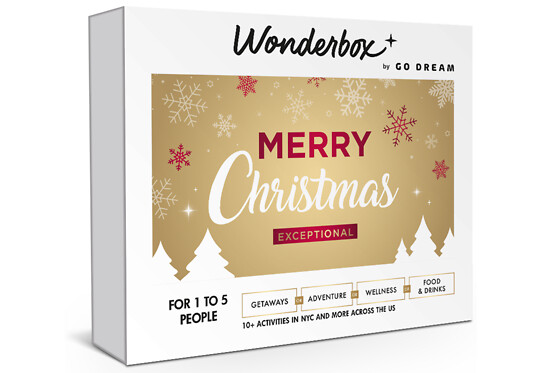 Merry Christmas Exceptional