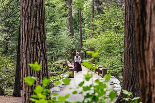 Muir Woods & Sausalito Half Day AM/PM and 4h Bike rental