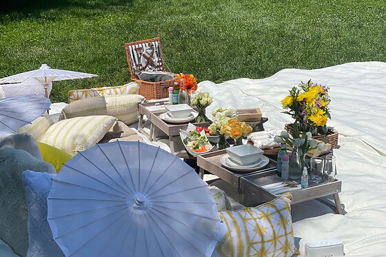 Picnic for 20 at PICNYC