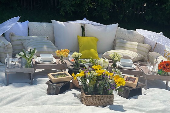 Picnic for 20 at PICNYC