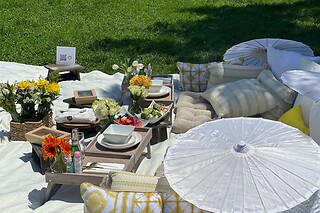 Picnic for 20 at PICNYC
