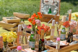 Picnic for 20 at PICNYC
