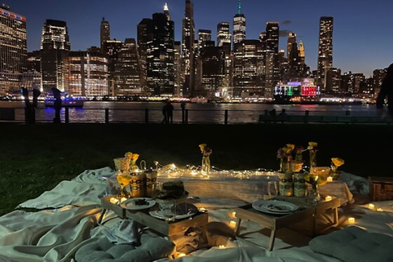 Picnic for 20 at PICNYC