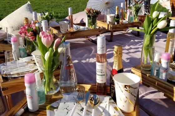 Picnic for 20 at PICNYC