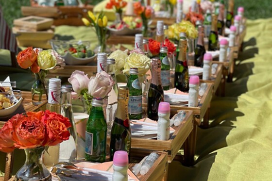 Picnic for 20 at PICNYC