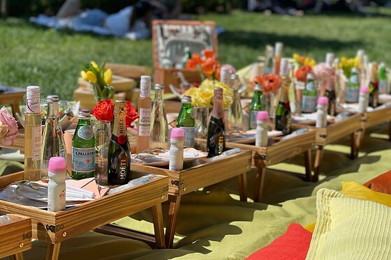 Picnic for 20 at PICNYC