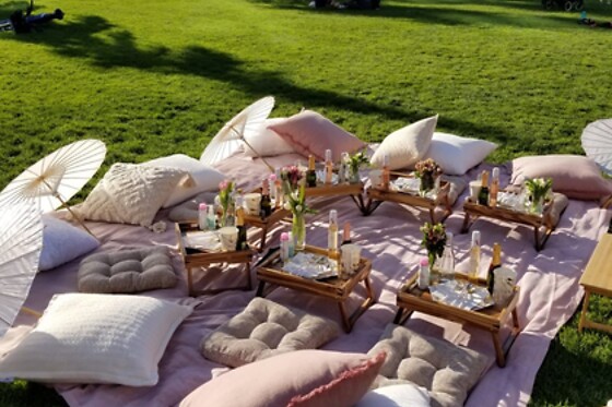 Picnic for 20 at PICNYC