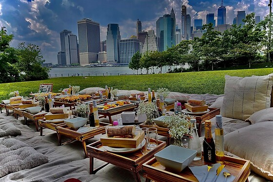 Picnic for 20 at PICNYC
