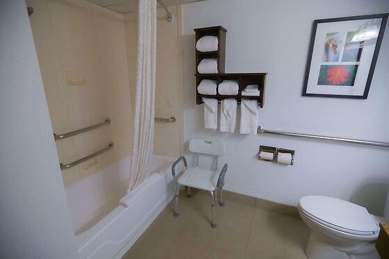 Online Booking EPS - photo 8