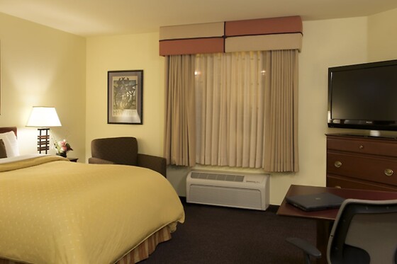 Online Booking EPS - photo 8