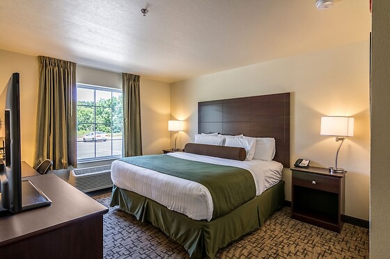 Online Booking EPS - photo 7