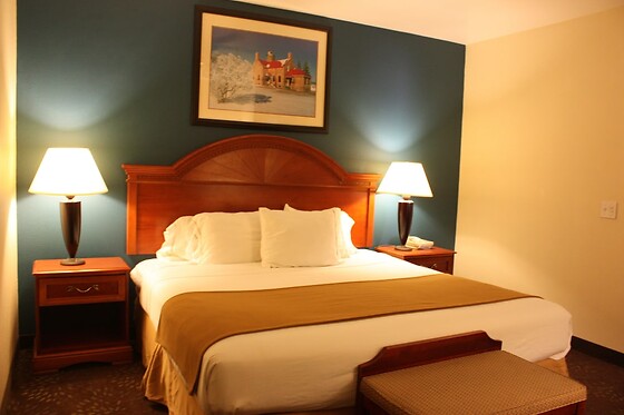 Online Booking EPS - photo 7