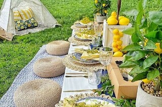 Botanical garden for 8 people