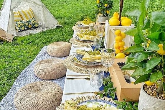 Botanical garden for 8 people