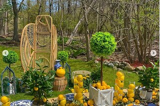 Botanical garden for 8 people