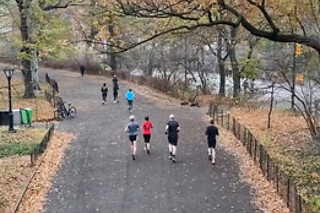 Central Park 5K Fun Run for 1 person