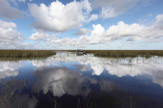 Sawgrass Recreation Park