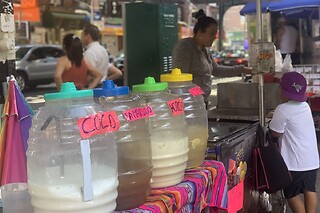 Group Chinese Food Tour in Flushing Queens: A Culinary Adventure