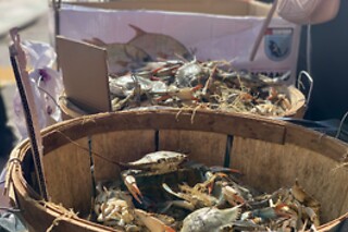 Group Chinese Food Tour in Flushing Queens: A Culinary Adventure