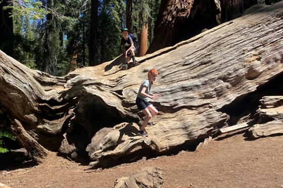 Semi Private Yosemite Valley HikingTour