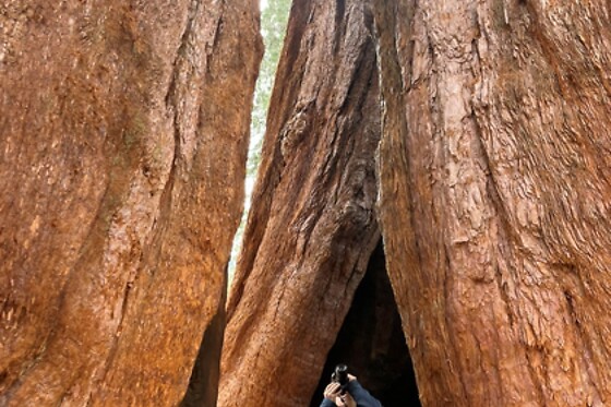 Semi Private Yosemite Valley HikingTour